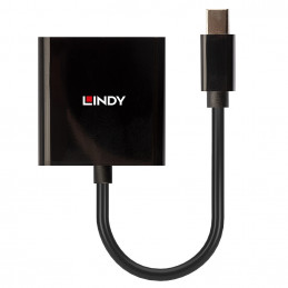 Lindy 41736 kaapelin sukupuolenvaihtaja Mini DisplayPort DVI-D Musta