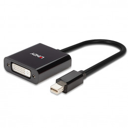 Lindy 41736 kaapelin sukupuolenvaihtaja Mini DisplayPort DVI-D Musta