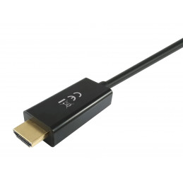 Equip 119390 videokaapeli-adapteri 2 m DisplayPort HDMI Musta