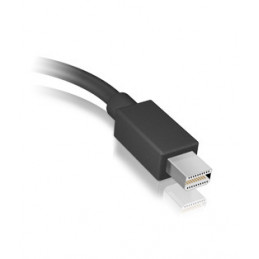 ICY BOX IB-AC506 Mini DisplayPort HDMI-tyyppi A (vakio) Musta