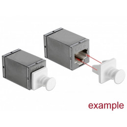 DeLOCK 86507 portin pölysuoja 10 kpl RJ-45