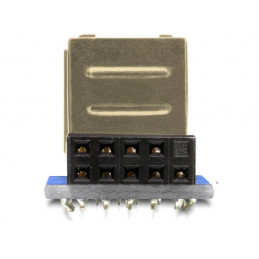 DeLOCK 1 x 9-pin 2.54 mm 2 x USB 2.0-A Musta, Sininen, Hopea
