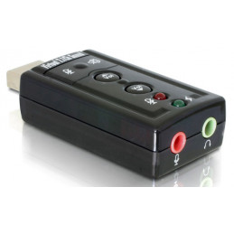 DeLOCK 61645 kaapelin sukupuolenvaihtaja USB 2.0 2x 3.5 Musta