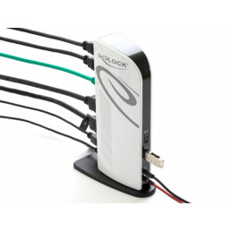 DeLOCK 87771 kannettavien tietokoneiden telakka ja porttitoistin Langallinen Musta, Valkoinen