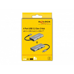 DeLOCK 63260 keskitin USB 3.2 Gen 2 (3.1 Gen 2) Type-C 10000 Mbit s Harmaa