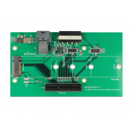 DeLOCK 63952 liitäntäkortti -sovitin Sisäinen M.2, PCIe