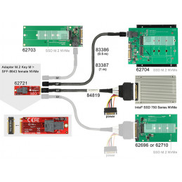 DeLOCK 62721 liitäntäkortti -sovitin Sisäinen M.2