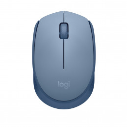 Logitech M171 hiiri Molempikätinen Langaton RF Optinen