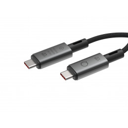 LINQ byELEMENTS LQ48028 USB-kaapeli 0,3 m USB4 Gen 3x2 USB C Musta, Harmaa