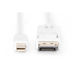 Digitus mini DP - DP, 3m Mini DisplayPort DisplayPort Valkoinen