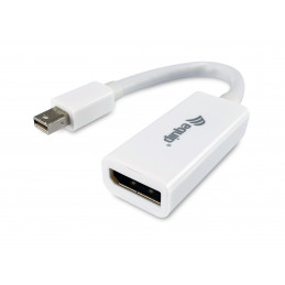 Equip 133440 videokaapeli-adapteri 0,15 m Mini DisplayPort DisplayPort Valkoinen