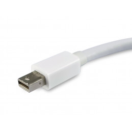 Equip 133440 videokaapeli-adapteri 0,15 m Mini DisplayPort DisplayPort Valkoinen