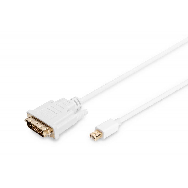 Digitus mini DP - DVI, 2m Mini DisplayPort DVI-D Valkoinen