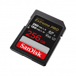 SanDisk SDSDXEP-256G-GN4IN muistikortti 256 GB SDXC UHS-II Luokka 10