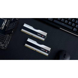 G.Skill F5-8000J4048F24GX2-TZ5RS muistimoduuli 48 GB 2 x 24 GB DDR5 8000 MHz