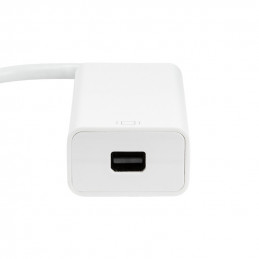 LogiLink UA0360 videokaapeli-adapteri 0,15 m USB Type-C Mini DisplayPort Valkoinen