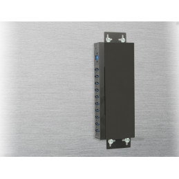 DeLOCK 63919 keskitin USB 3.2 Gen 1 (3.1 Gen 1) Micro-B 5000 Mbit s Musta