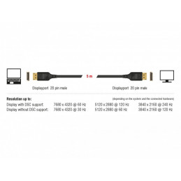 DeLOCK 85663 DisplayPort-kaapeli 5 m Musta