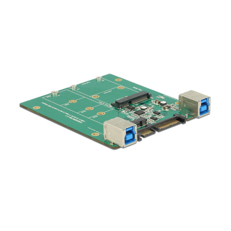 DeLOCK 62732 liitäntäkortti -sovitin Sisäinen M.2, mSATA