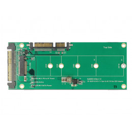 DeLOCK 62864 liitäntäkortti -sovitin Sisäinen M.2