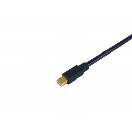 Equip 133442 DisplayPort-kaapeli 2 m Mini DisplayPort